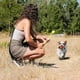 thumbnail image 2 of Pelota Chuckit Air Fetch para Perro 2.5in, 2 of 3