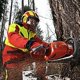 thumbnail image 2 of Casco para arboricultura Pfanner Protos Integral Negro, 2 of 6