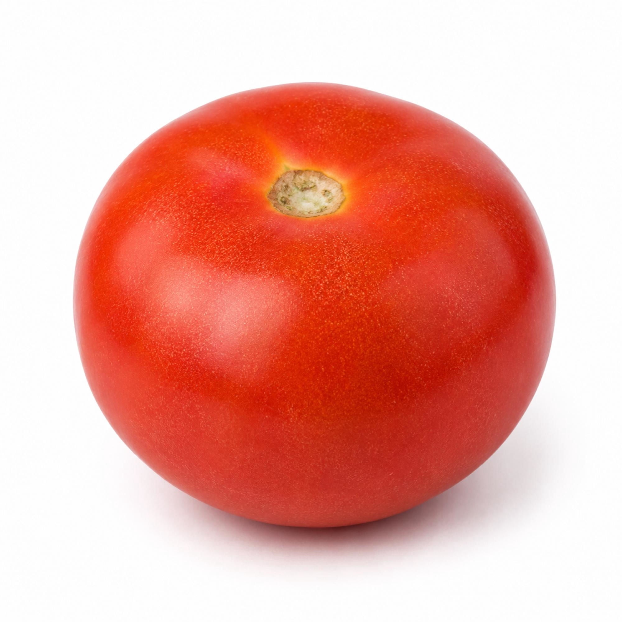 Tomate Larga Vida Granel 500 g (2 a 3 un aprox)