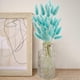 thumbnail image 3 of 50 flores secas de hierba de la pampa que nunca se marchitan, decoración natural, flores bohemias, decoración de cumpleaños, boda, decoración del hogar (azul Tiffany claro), 3 of 5
