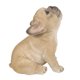 thumbnail image 1 of Sculpture Hi-Line Gift Ltd., bulldog francés, aullando, 1 of 7