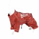 thumbnail image 5 of Collar para Gato Pet Life Touchcat Lucky Charms de Moda, 5 of 9