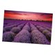 thumbnail image 3 of rompecabezas 1000 piezas hijos adultos bricolaje rompecabezas regalo lavanda campo de flores, 3 of 4