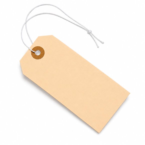Etiquetas de papel Manila EZDOM 12 cm × 6 cm, paquete de 100 con cuerda elástica