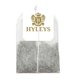 thumbnail image 2 of Té HYLEYS Cúrcuma con Té Verde - 150 Bolsas - Suplemento Herbal, 2 of 4