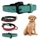 thumbnail image 1 of Collar Para Perro Eco Cuero Mascotas 2,5cm Ancho 47cm Largo Verde Claro, 1 of 5