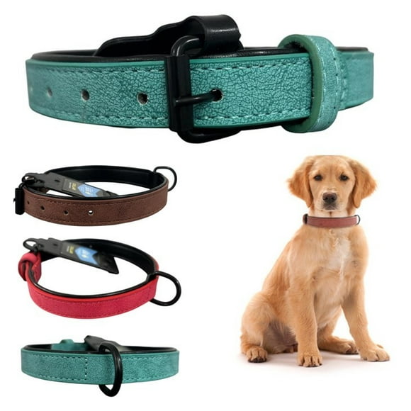 Collar Para Perro Eco Cuero Mascotas 2,5cm Ancho 47cm Largo Verde Claro