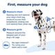 thumbnail image 4 of Arnés para perros PetSafe Easy Walk, sin tirones, tamaño medio/grande, morado, 4 of 6