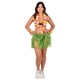 thumbnail image 2 of Set de disfraz hawaiano de falda hula Beistle, 5 piezas, talla adulto, 2 of 6