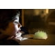 thumbnail image 4 of Kit de cultivo Glow Crystal para cultivar cristal, experimento DIY de 4 m, 4 of 6