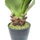 thumbnail image 2 of Agave 75cm Súper Realista, 2 of 3