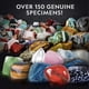 thumbnail image 3 of Juego National Geographic Rock Mineral 150 Especímenes, 3 of 3