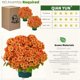 thumbnail image 3 of Planta Artificial QIANYUN 51 cm Resistente a los Rayos UV para Exterior, 3 of 5