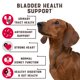 thumbnail image 2 of Masticales para tratamiento de infecciones urinarias para perros Kinpur Pet Care con arándanos, 180 unidades, 2 of 7