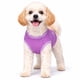 thumbnail image 3 of Playera sin Mangas para Perro Pet Life Active Aero-Pawlse Jaspeada, 3 of 8