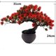 thumbnail image 2 of Árbol Bonsái Artificial Fycooler 30x25x8 cm Decoración Interior, 2 of 7