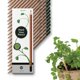 thumbnail image 1 of Lápices Sprout con funda de madera Teacher's Edition HB, paquete de 32, 1 of 8
