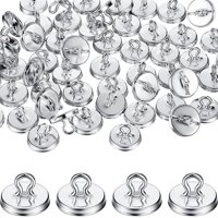 Xusx111 - Kit De Anclaje De Plantas 100 Piezas Vine Anchors Navidad Giranda Colgando Para Trellis Vine Y Wall Climbing Plants Supplies