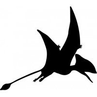 Rienda Libre Graphics - Decomural Pterodactyl Flying Dinosaur Kids Ws-50425