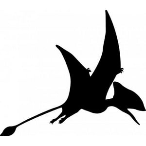 Rienda Libre Graphics - Decomural Pterodactyl Flying Dinosaur Kids Ws-50425