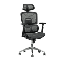 Muebles Santa Ana - Silla De Oficina Ergoback Aluminio