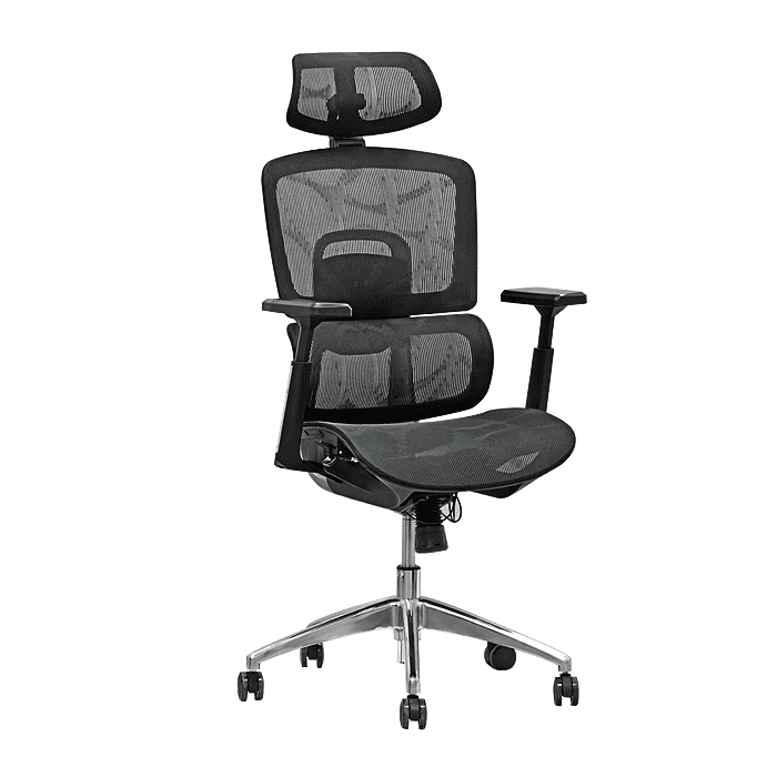 Muebles Santa Ana - Silla De Oficina Ergoback Aluminio