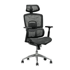 Muebles Santa Ana - Silla De Oficina Ergoback Aluminio