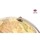thumbnail image 4 of Arco World Globe Exerz 12 de metal envejecido con base de color bronce, 4 of 9