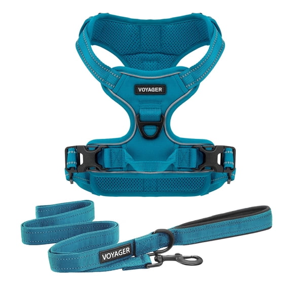 Arnés Para Perro Voyager Con Correa Doble Turquesa Talla S