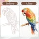 thumbnail image 3 of Libro de Acuarela NaTuGi Pack de 2 - Kit de coloreado para adultos, 3 of 9