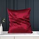 thumbnail image 2 of PiccoCasa 1 Pc Funda de Almohada de Seda de 19 Momme con Cremallera Oculta No Estándar Rojo Vino 16" x 16", 2 of 7