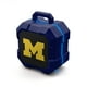 thumbnail image 1 of Altavoz Bluetooth inalámbrico SOAR NCAA Shockbox LED Michigan, 1 of 3