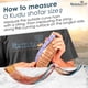 thumbnail image 3 of Shofar HalleluYAH Cuerno de Kudu 61‑76 cm – Juego Israelí, 3 of 8