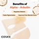 thumbnail image 4 of Mascarilla facial COSRX The Alpha-Arbutin Decoloration Care x3, 4 of 9