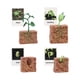 thumbnail image 4 of Figuras De Ciclo De Vida, Juguete Educativo Realista Para Favores De Fiesta, Crecimiento De Plantas, 4 of 5