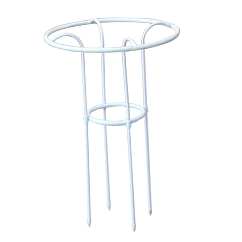 Magideal - Enrejado De Soporte Para Plantas Trepadoras Enrejado De Metal Para Plantas Enrejado Vertical Multiusos Para Jardín Jaula Para Tomates Para Plantas Tre 70 Centímetros