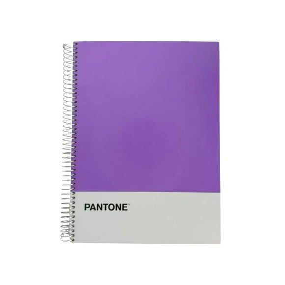 Cuaderno Carta (28x20,5 Cm) 120 Hojas. Pantone violeta