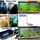 thumbnail image 4 of Aquarium Clean Light Jack Super Mini, temporizador de 3 W, UV-C, agua, 4 of 6