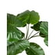 thumbnail image 2 of Planta Decorativa Manto De Eva 71cm, 2 of 3