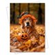 thumbnail image 1 of Tarjeta de felicitación CATNEVERLAND 13 cm Halloween con perro, 1 of 9
