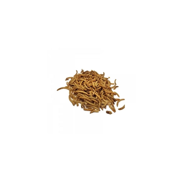 Alimento Tenebrios Deshidratados 25 Gr Erizos Peces Tortuga