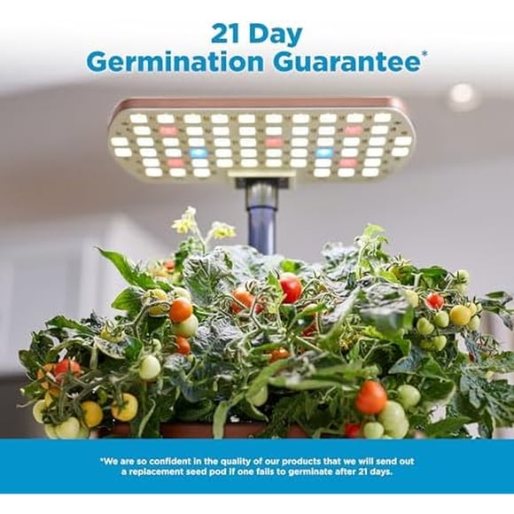 Kit hidropánico AeroGarden Harvest Lite Mocha 6 macetas LED