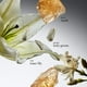 thumbnail image 3 of Perfume philosophy pure grace eau de toilette, 60 ml, para mujer, 3 of 6