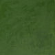 thumbnail image 3 of Oleo Winton Winsor & Newton 37ml - Varios Colores, 3 of 4