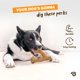 thumbnail image 4 of Juguete masticable Benebone Wishbone de venado para perros pequeños, 4 of 6