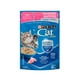 thumbnail image 2 of Pouch Cat Chow Gatito - Pollo 15un x 85gr, 2 of 8