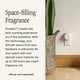 thumbnail image 3 of Difusor de aire Smart Home con fragancia Pura Sugared Lemon, paquete de 2, 3 of 7