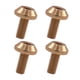 thumbnail image 4 of 4x Bicicleta Botella De Agua Jaula Perno Tornillo Bicicleta Jaula Perno Montaña Ciclismo M5x12mm Oro, 4 of 5