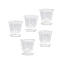 Ioensy - Macetas Transparentes Para Orquídeas, Macetero Transparente Para Sala De Estar Y Dormitorio Con Platillo De 7 Pulgadas