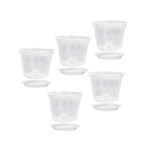 Ioensy - Macetas Transparentes Para Orquídeas, Macetero Transparente Para Sala De Estar Y Dormitorio Con Platillo De 7 Pulgadas